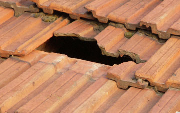 roof repair Hollocombe, Devon