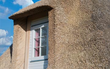Hollocombe thatch roof disadvantages