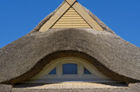 Hollocombe thatch roofing